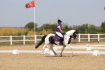 SBM_004337