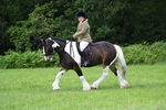 WJ7_2334