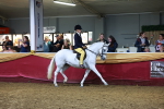 SBM_15888