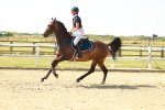 SBM_000398