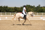SBM_004940