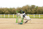 SBM_005645
