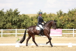 SBM_004145