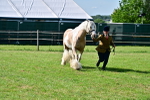 SBM_10103