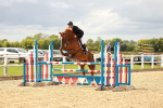 SBM_001377