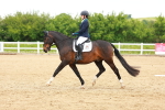 SBM_006595