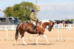 SBM_13173
