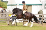 SBM_06165