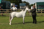 SBM_00566