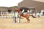 SBM_008475