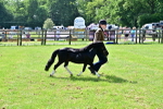 SBM_03482