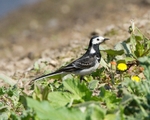20110422-IMG_4702