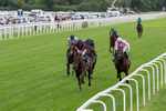 190826-Race 3-Maltese Cross-0319