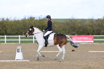 SBM_000947