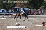 BPP_9314