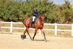 SBM_011787