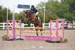 Cls 9 1.05m Amateur Qualifer portfolio