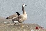 190322-untitled-1L4A0288
