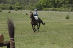 BVHT 140517  IXC -651