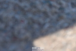 230520A-095135-01691
