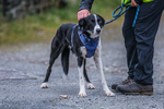 Derwentwater-1041