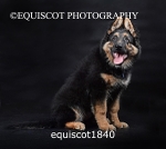 equiscot1840