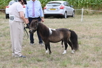 WJ6_5661