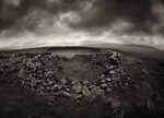 Sheep Pen