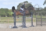 CLASS 15  Senior Foxhunter/ 1.20m Open portfolio