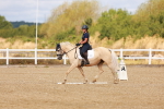 SBM_009772