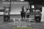 BPP_6965