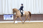 SBM_001665