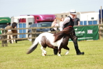 SBM_02452