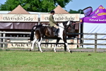SBM_19558