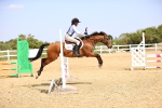 SBM_001241