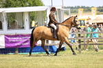 SBM_15035
