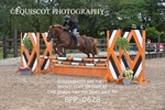 BPP_0628