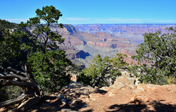 Grand Canyon-South Rim portfolio