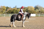 SBM_000206