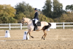SBM_009098