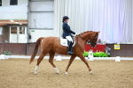 SBM_002888
