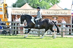 SBM_12240