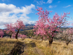 Andalucia 3 -34