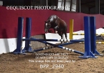 BPP_2940