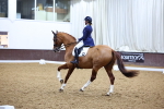 SBM_003351