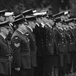 rememberence day shrewsbury