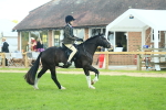 SBM_42011