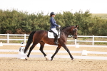 SBM_016934