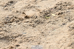 251004A-140058-01407