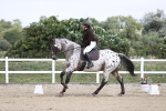 SBM_016845